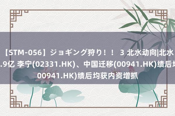 【STM-056】ジョギング狩り！！ 3 北水动向|北水成交净买入9.9亿 李宁(02331.HK)、中国迁移(00941.HK)绩后均获内资增抓