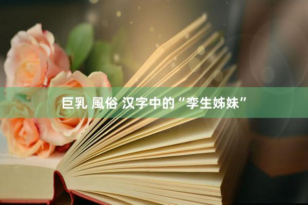 巨乳 風俗 汉字中的“孪生姊妹”