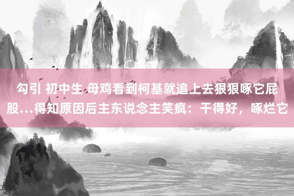 勾引 初中生 母鸡看到柯基就追上去狠狠啄它屁股…得知原因后主东说念主笑疯：干得好，啄烂它