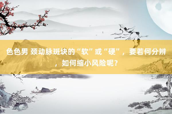色色男 颈动脉斑块的“软”或“硬”，要若何分辨，如何缩小风险呢？