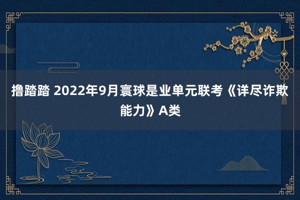 撸踏踏 2022年9月寰球是业单元联考《详尽诈欺能力》A类