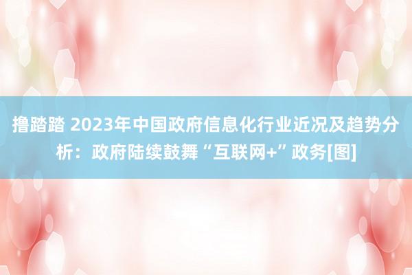 撸踏踏 2023年中国政府信息化行业近况及趋势分析：政府陆续鼓舞“互联网+”政务[图]