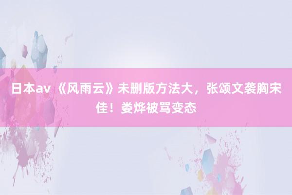 日本av 《风雨云》未删版方法大，张颂文袭胸宋佳！娄烨被骂变态