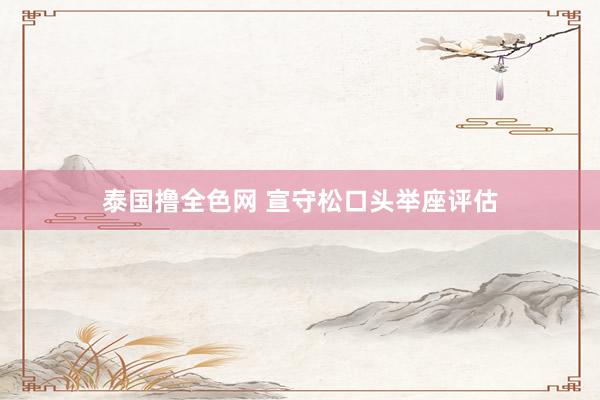 泰国撸全色网 宣守松口头举座评估