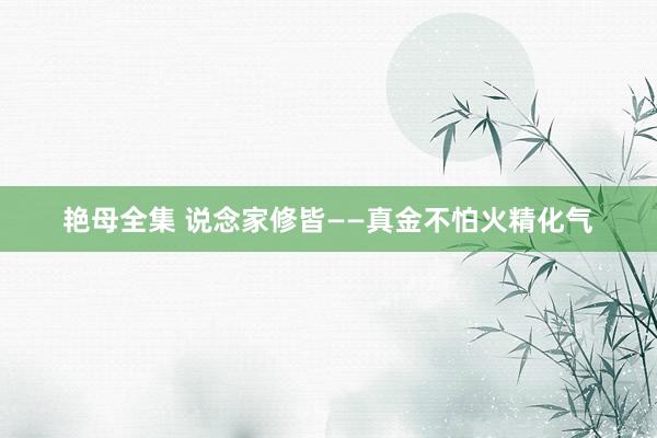 艳母全集 说念家修皆——真金不怕火精化气