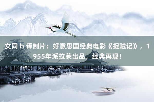 女同 h 译制片：好意思国经典电影《捉贼记》，1955年派拉