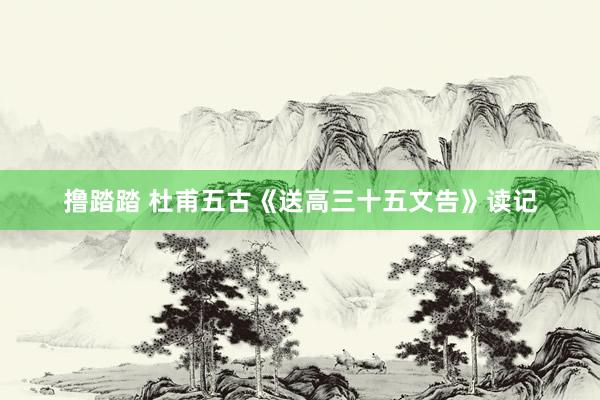 撸踏踏 杜甫五古《送高三十五文告》读记