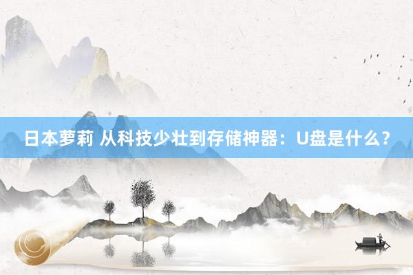 日本萝莉 从科技少壮到存储神器：U盘是什么？