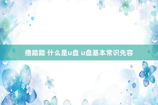 撸踏踏 什么是u盘 u盘基本常识先容