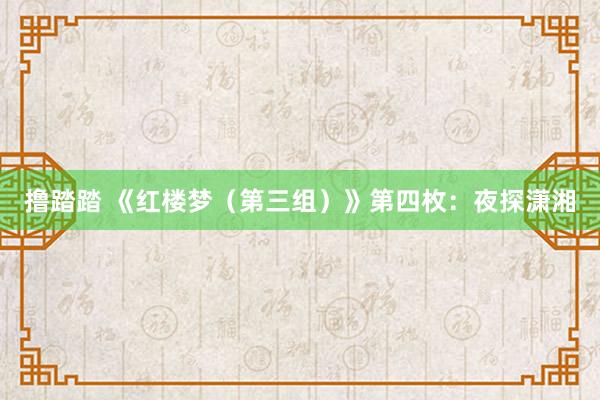 撸踏踏 《红楼梦（第三组）》第四枚：夜探潇湘