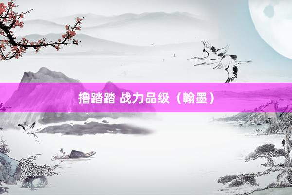 撸踏踏 战力品级（翰墨）